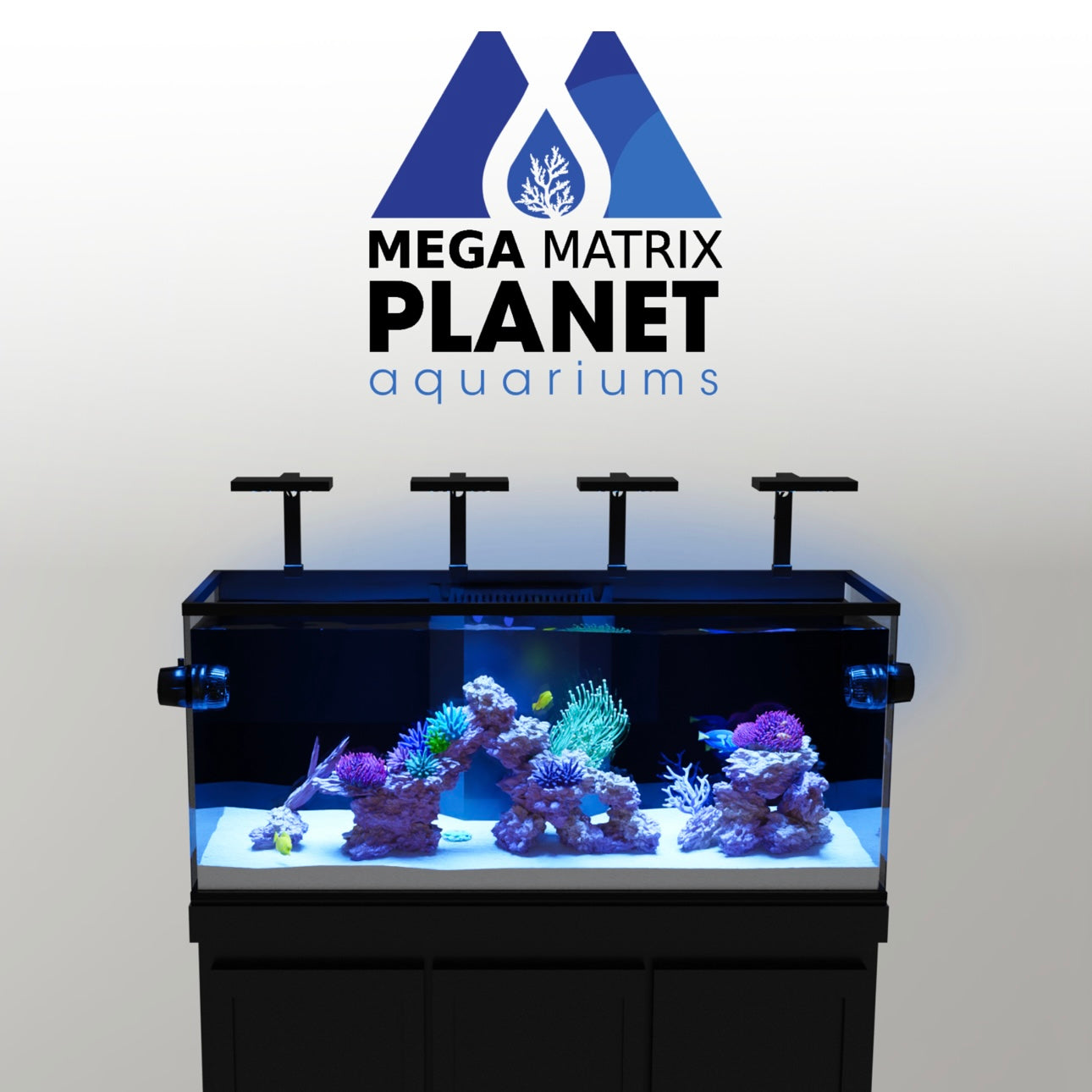 Planet Aquariums – Barrier Reef Aquariums